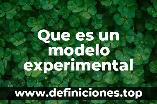 Que es un modelo experimental