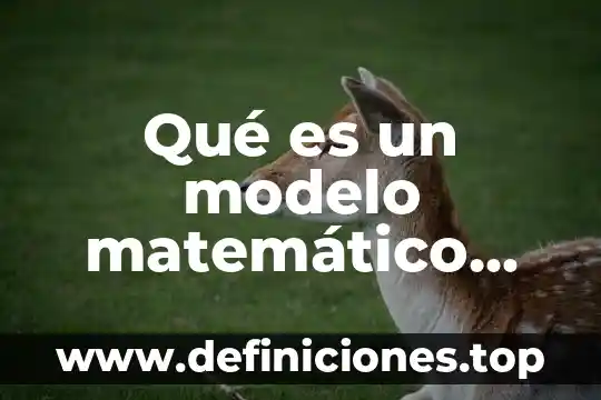 Qué es un acertijo matemático ejemplo 8 Qué es un modelo matemático bidimensional