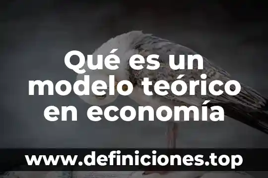 Que es un marco teórico de un corazon de cerdo 5 Qué es un modelo teórico en economía