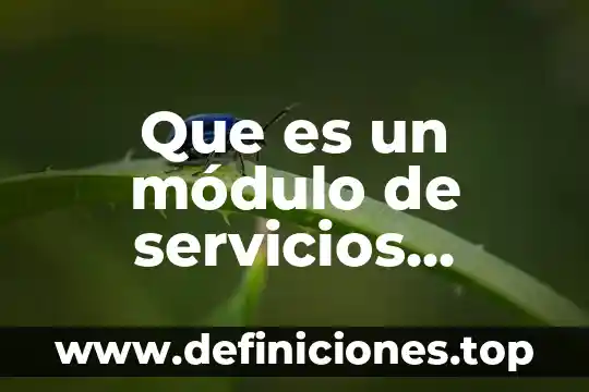 Qué es una entrevista según autores 6 Que es un módulo de servicios tributarios