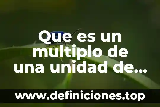 Que es un multiplo de una unidad de medida