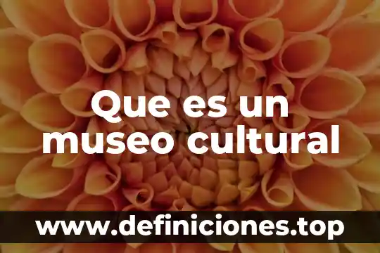 Que es el museo de culturas populares 8 Que es un museo cultural