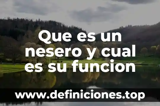 Qué es el útero y cuál es su función 4 Que es un nesero y cual es su funcion