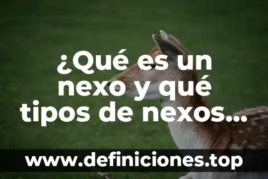 Que es clima y cuantos tipos hay 7 ¿Qué es un nexo y qué tipos de nexos hay?
