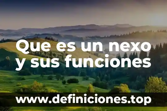 Que es un factor unitario de conversion en fisica 3 Que es un nexo y sus funciones
