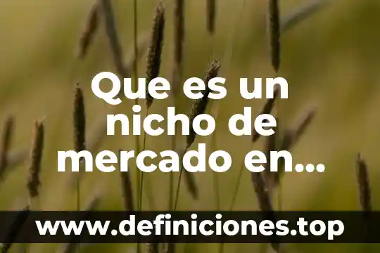 Mercado bursatil que es 8 Que es un nicho de mercado en linea