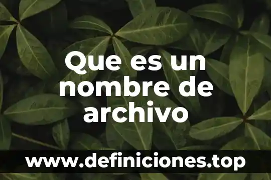 Qué es un archivo blindeo en referencia 3 Que es un nombre de archivo
