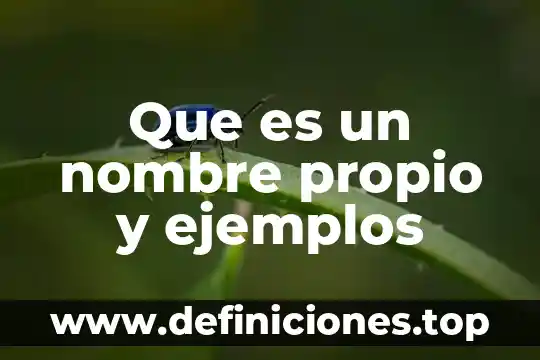 Qué es un nombre de dominio y sus partes 7 Que es un nombre propio y ejemplos