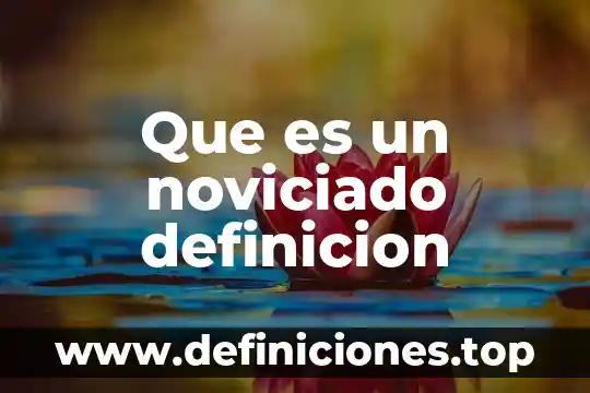 Que es un noviciado definicion