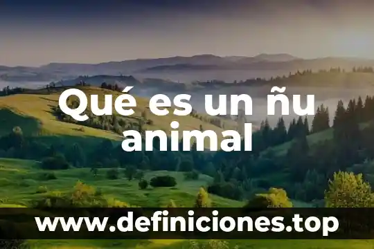 Qué es un ñu animal