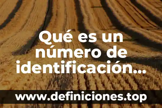Qué es un número de identificación tag number