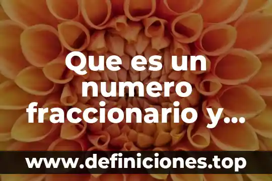 Que es un numero fraccionario y ejemplos