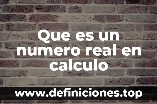 Que es un numero real en calculo