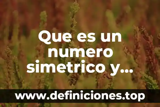 Que es un numero simetrico y ejemplos