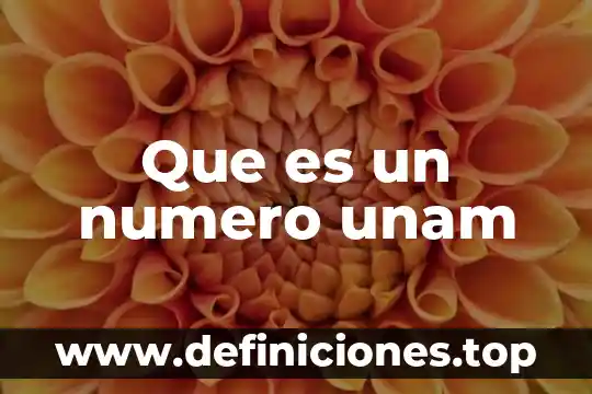 Qué es el rene cyt número de rencyt 8 Que es un numero unam