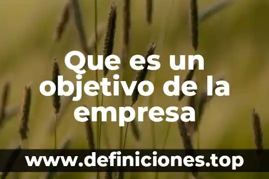 Que es la empresa soled 4 Que es un objetivo de la empresa
