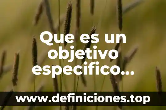 Que es un objetivo especifico segun sampieri