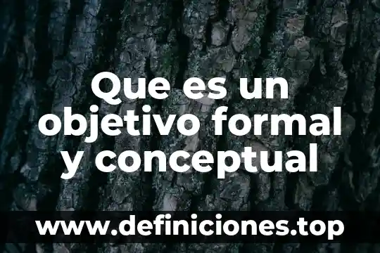Que es el marco conceptual de una tesis ejemplo 4 Que es un objetivo formal y conceptual