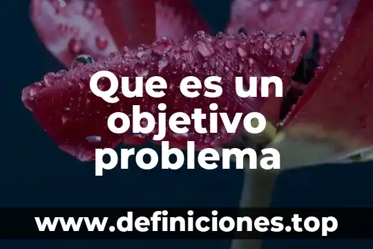 Solucion del problema que es 7 Que es un objetivo problema