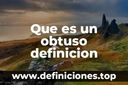 Que es un obtuso definicion