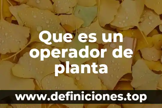Que es un operador de planta
