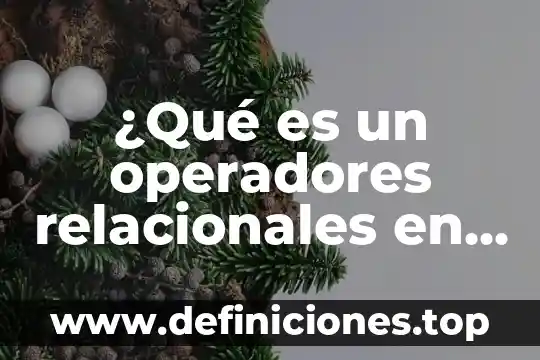 ¿Qué es un operadores relacionales en Excel?
