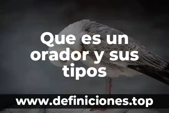 Que es un orador y sus tipos
