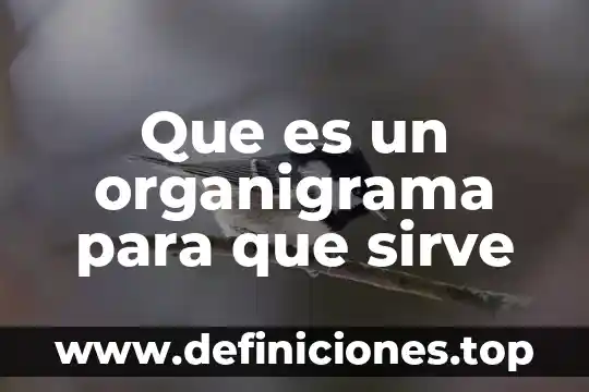 Qué es la cofece y para que sirve 5 Que es un organigrama para que sirve