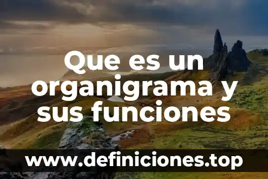 Que es funciones que domina 4 Que es un organigrama y sus funciones