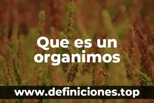 Sensorama aplicaciones que es 6 Que es un organimos