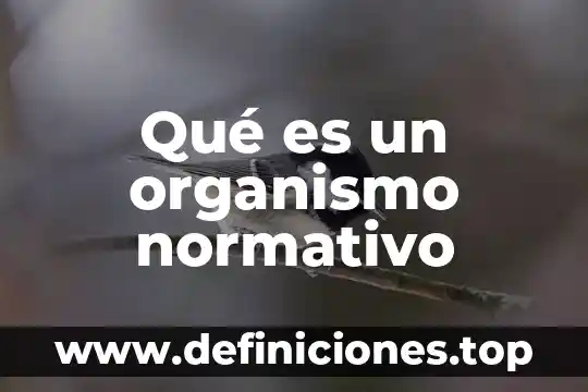 Que es un organismo de mujer 3 Qué es un organismo normativo