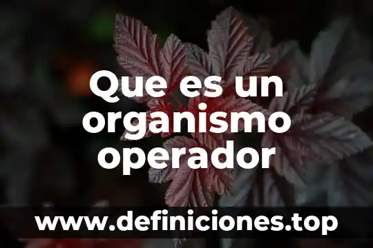 Que es un organismo operador