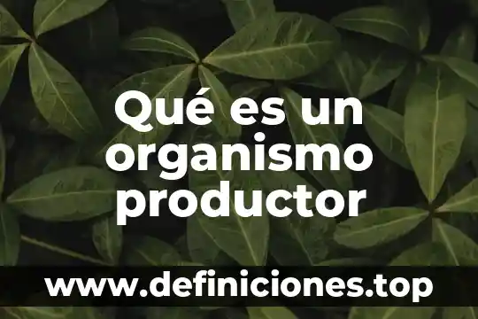 Qué es un organismo normativo 6 Qué es un organismo productor