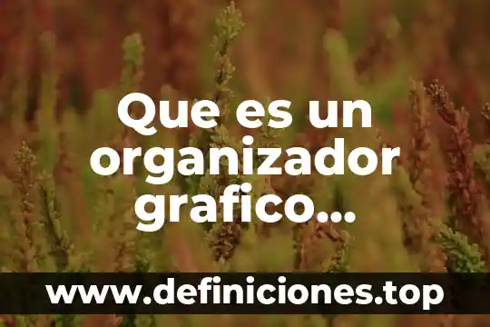 Diagrama de flujo sobre que es un organizador virtual 6 Que es un organizador grafico caracteristicas