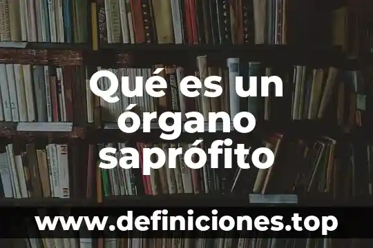 Órgano transitorio que es 8 Qué es un órgano saprófito