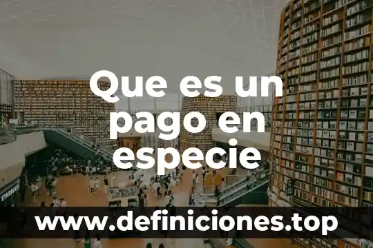 Que es un pago parcial 4 Que es un pago en especie