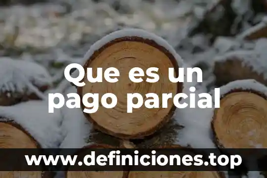 Que es una metodo de pago 3 Que es un pago parcial
