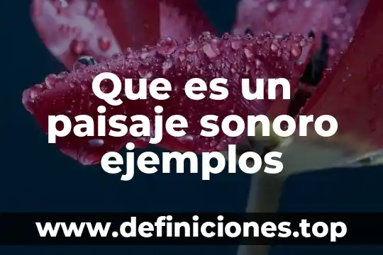 Que es un paisaje sonoro ejemplos