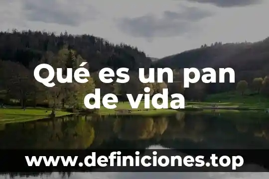 Que es un entrenamiento de vida inicia 7 Qué es un pan de vida