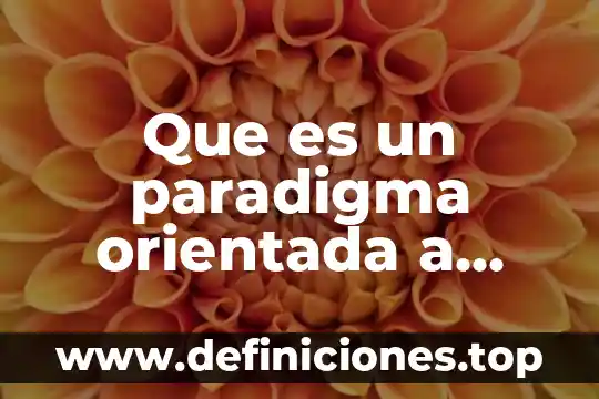 Que es un paradigma orientada a objetos