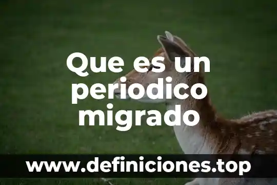 Que es la bandera de un periodico 4 Que es un periodico migrado