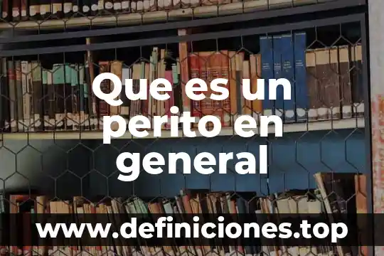 Que es un perito en general