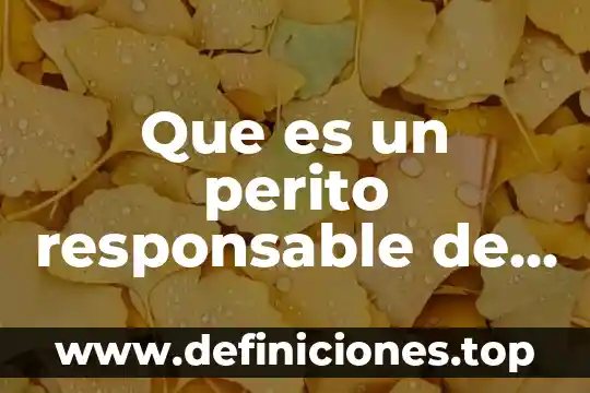De que es responsable el administrador 3 Que es un perito responsable de obra