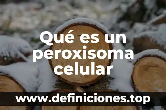 Qué es un peroxisoma celular