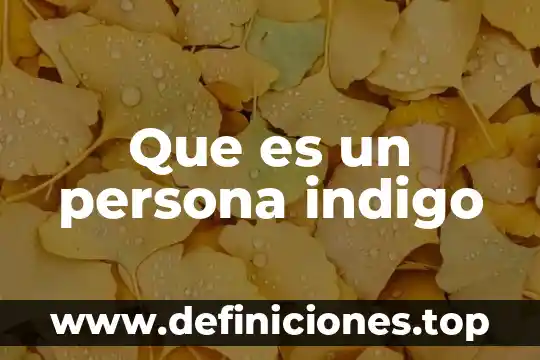 Que es arquetipo en una persona 5 Que es un persona indigo