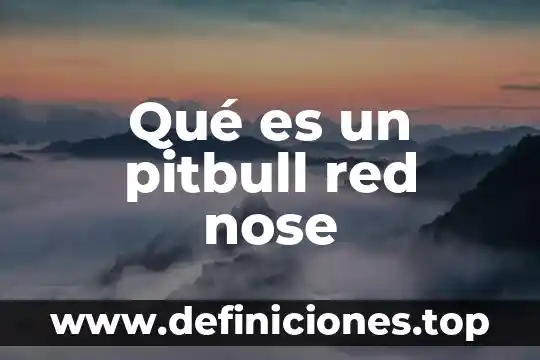 Qué es un protocolo de red físico 7 Qué es un pitbull red nose