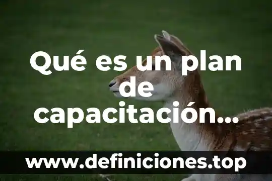 Qué es un bosquejo en física 7 Qué es un plan de capacitación extendido