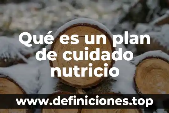 Que es un plan de estudios por asignatura 8 Qué es un plan de cuidado nutricio
