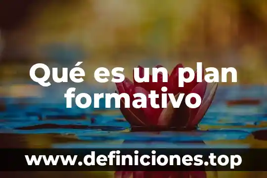 Que es un plan de accion alternativo 4 Qué es un plan formativo