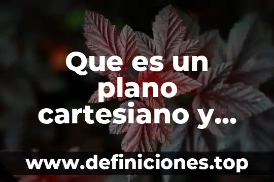Que es ep en plano 4 Que es un plano cartesiano y coordenadas